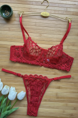 Dantel Halkalı Transparan Sütyen & Tanga Takımı - Kırmızı