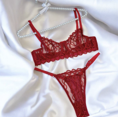 Dantel Halkalı Transparan Sütyen & Tanga Takımı - Kırmızı