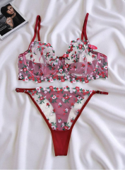 Çiçek Nakışlı Transparan Sütyen & Külot Takımı – C Cup - Çıtır Kırmızı Pembe