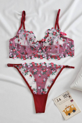 Çiçek Nakışlı Transparan Sütyen & Külot Takımı – C Cup - Çıtır Kırmızı Pembe