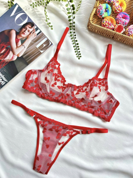 Kalp Desenli Transparan Dantelli Sütyen & String Takımı – Kırmızı