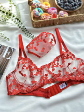 Kalp Desenli Transparan Dantelli Sütyen & String Takımı – Kırmızı