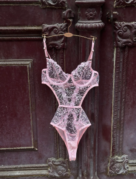 Dantel İşlemeli Balenli Transparan Bodysuit - Pudra